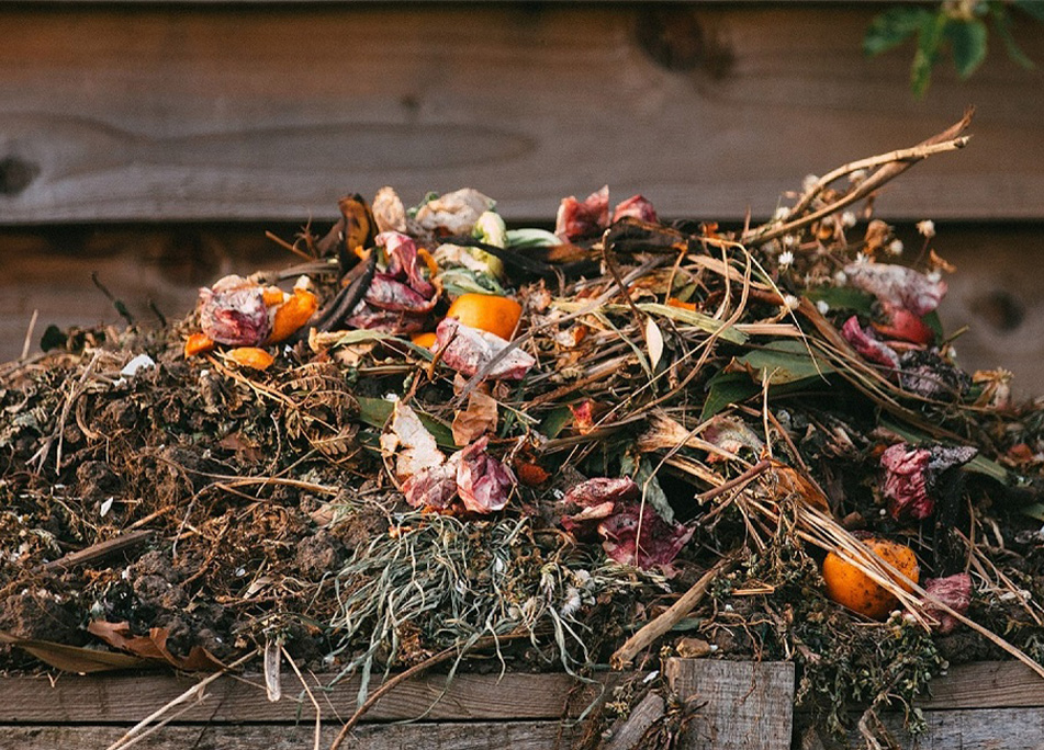 jardinerie ecologique nimes-permaculture gard-compost occitanie-engrais organique nimes-graines biologiques gard-filtration de l eau occitanie-semences biologiques nimes