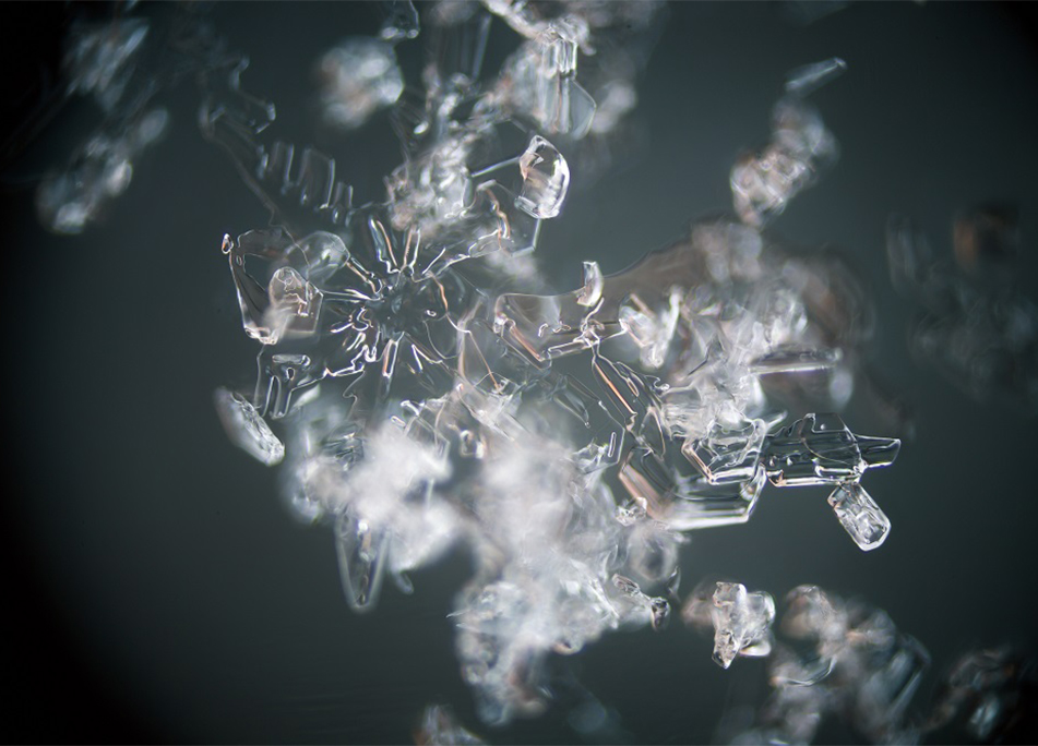 jardinerie ecologique nimes-permaculture gard-compost occitanie-engrais organique nimes-graines biologiques gard-filtration de l eau occitanie-semences biologiques nimes