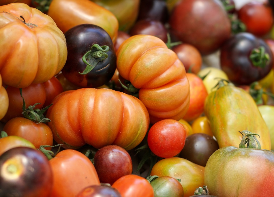 jardinerie ecologique nimes-permaculture gard-compost occitanie-engrais organique nimes-graines biologiques gard-filtration de l eau occitanie-semences biologiques nimes