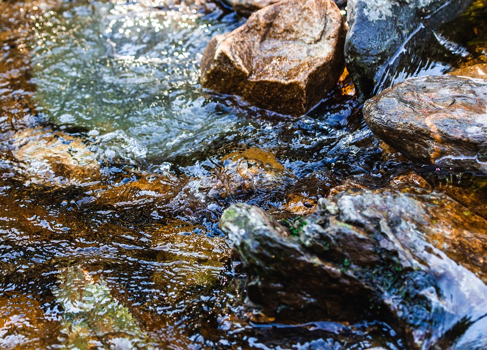 jardinerie ecologique nimes-permaculture gard-compost occitanie-engrais organique nimes-graines biologiques gard-filtration de l eau occitanie-semences biologiques nimes