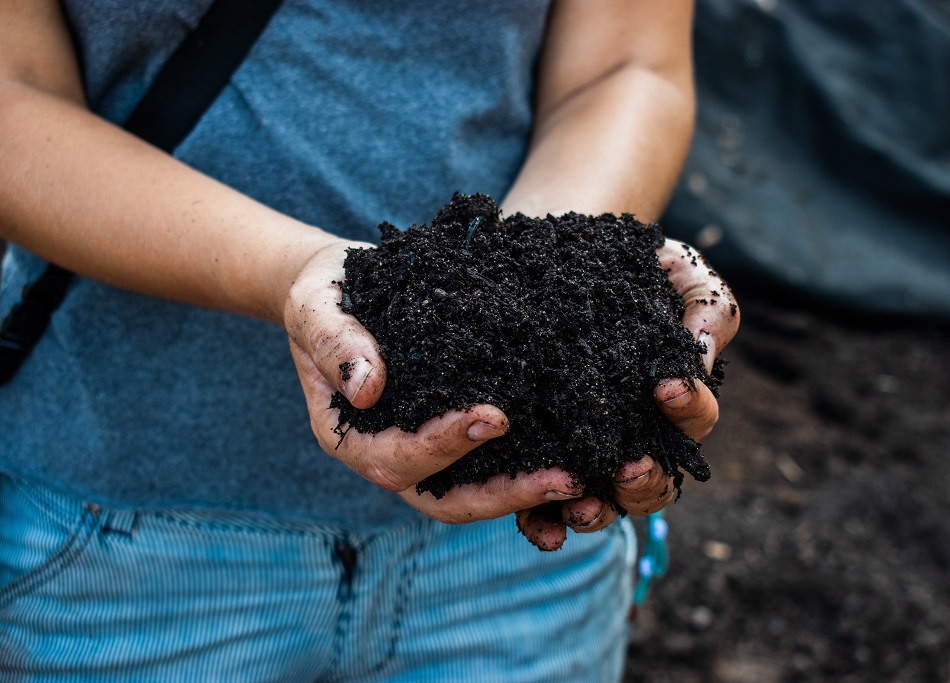 jardinerie ecologique nimes-permaculture gard-compost occitanie-engrais organique nimes-graines biologiques gard-filtration de l eau occitanie-semences biologiques nimes