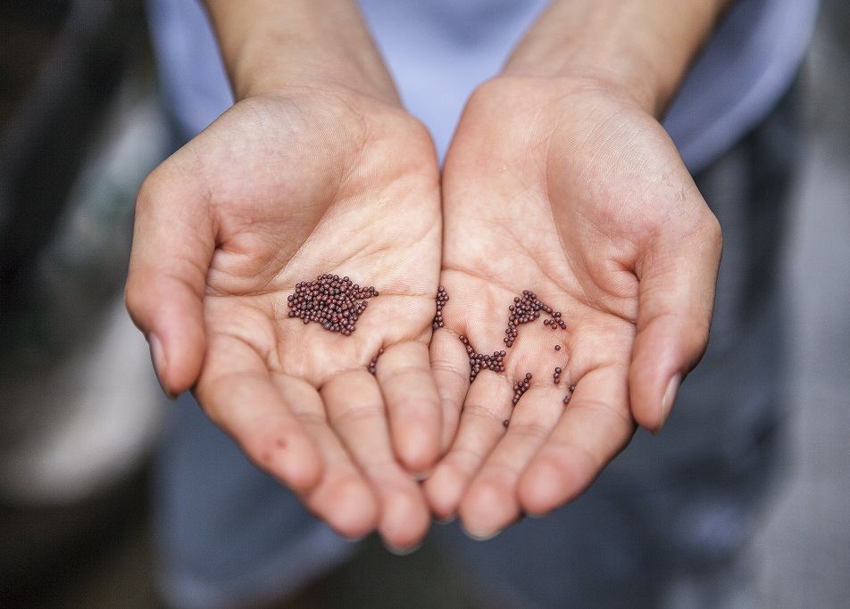 jardinerie ecologique nimes-permaculture gard-compost occitanie-engrais organique nimes-graines biologiques gard-filtration de l eau occitanie-semences biologiques nimes