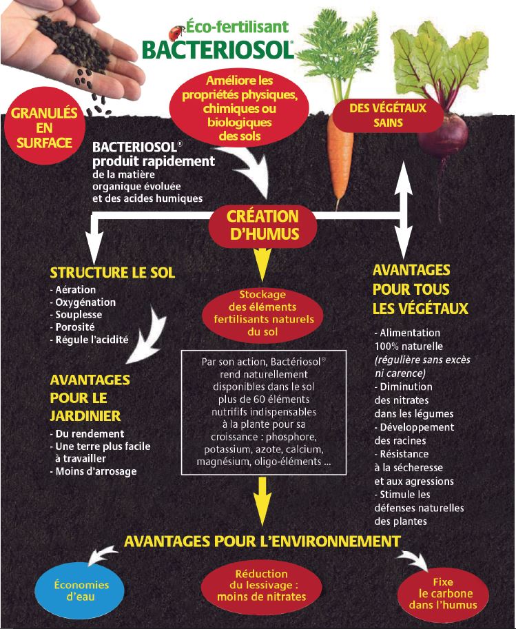 BACTERIOSOL - Eco-fertilisant – Image 2
