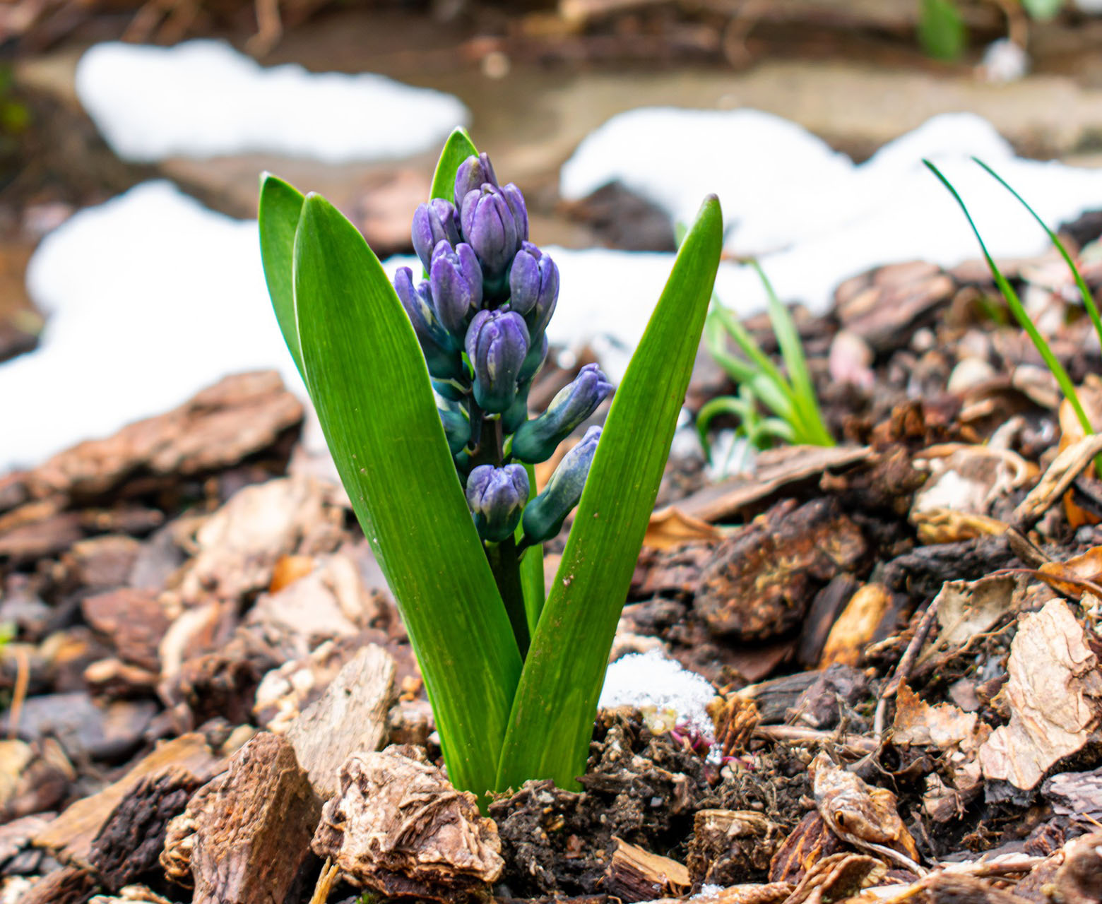 jardinerie ecologique nimes-permaculture gard-compost occitanie-engrais organique nimes-graines biologiques gard-filtration de l eau occitanie-semences biologiques nimes