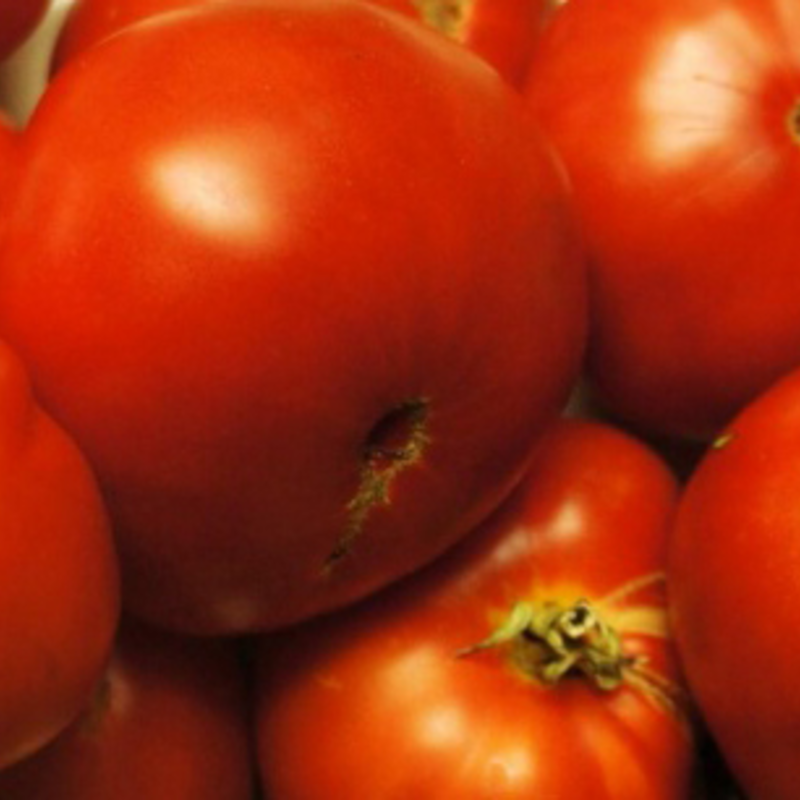 Graines de tomate rouge "Marmande"
