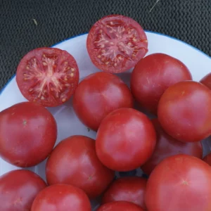 Graines de tomate rose "Rose de Berne"