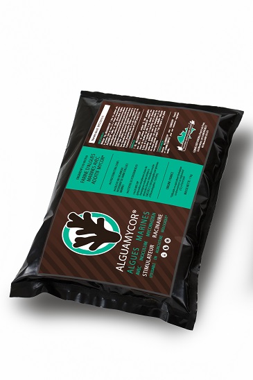 Alguamycor®V2 - Stimulateur racinaire - GUANODIFFUSION