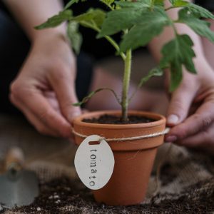 jardinerie ecologique nimes-permaculture gard-compost occitanie-engrais organique nimes-graines biologiques gard-filtration de l eau occitanie-semences biologiques nimes