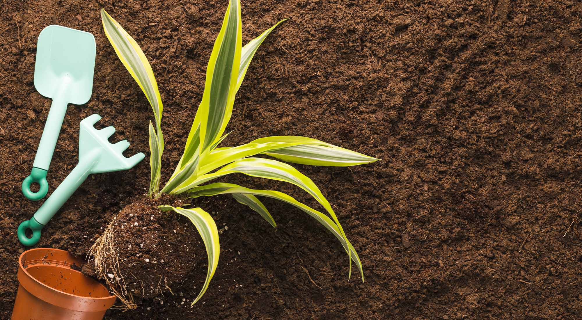 jardinerie ecologique nimes-permaculture gard-compost occitanie-engrais organique nimes-graines biologiques gard-filtration de l eau occitanie-semences biologiques nimes